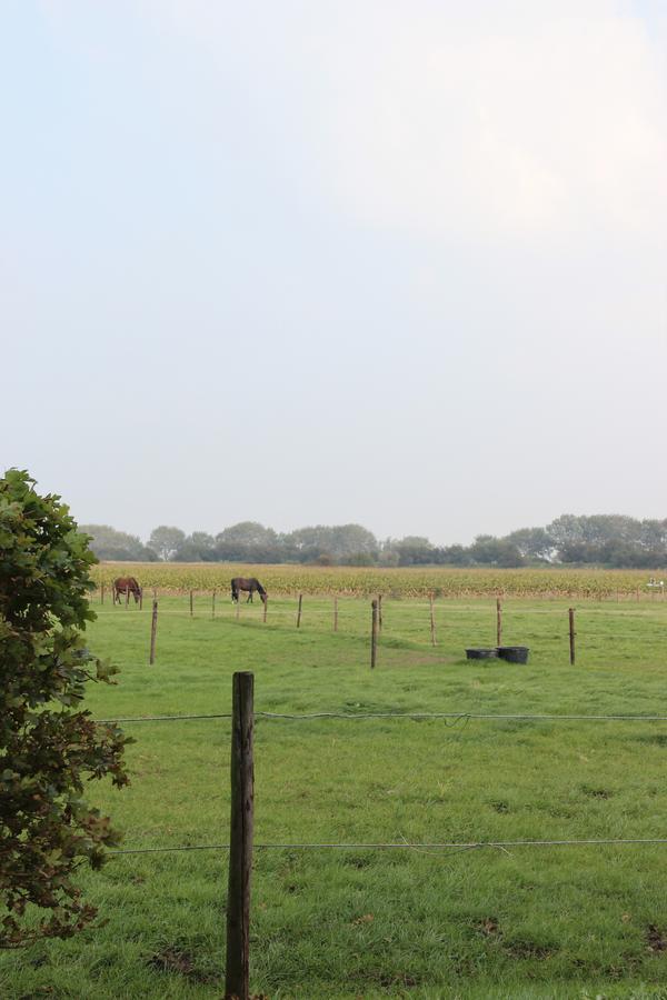 Gastenverblijven Boerderij Het Driespan Μίντελμπουρχ Εξωτερικό φωτογραφία