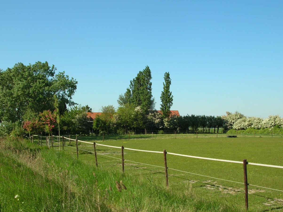 Gastenverblijven Boerderij Het Driespan Μίντελμπουρχ Εξωτερικό φωτογραφία